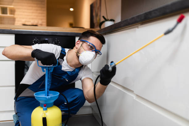 Best Mosquito Control Services  in Trotwood, OH