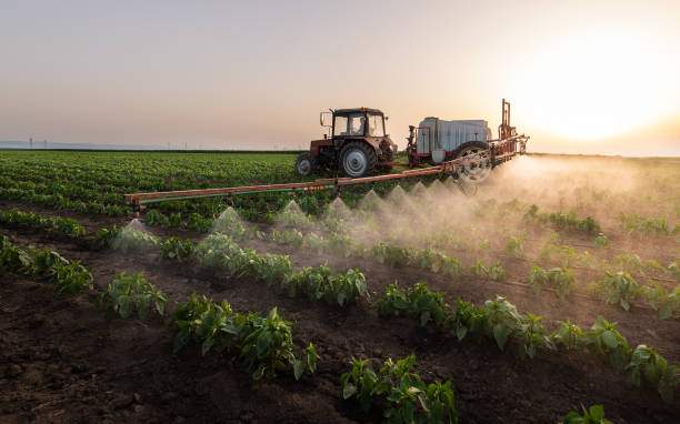 Best Pest Prevention Services  in Trotwood, OH