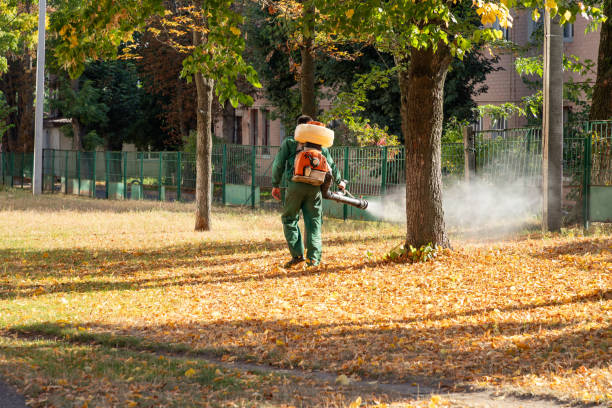 Best Termite Control Services  in Trotwood, OH