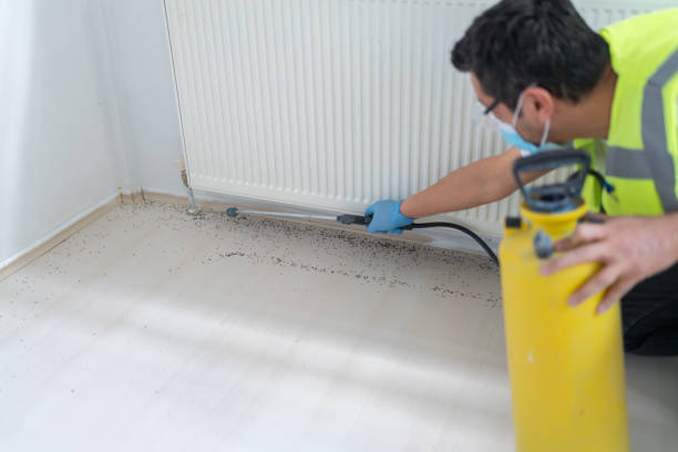 Best Termite Control Services  in Trotwood, OH
